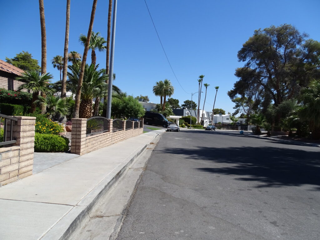 Sunny residential street with palm trees and homes.