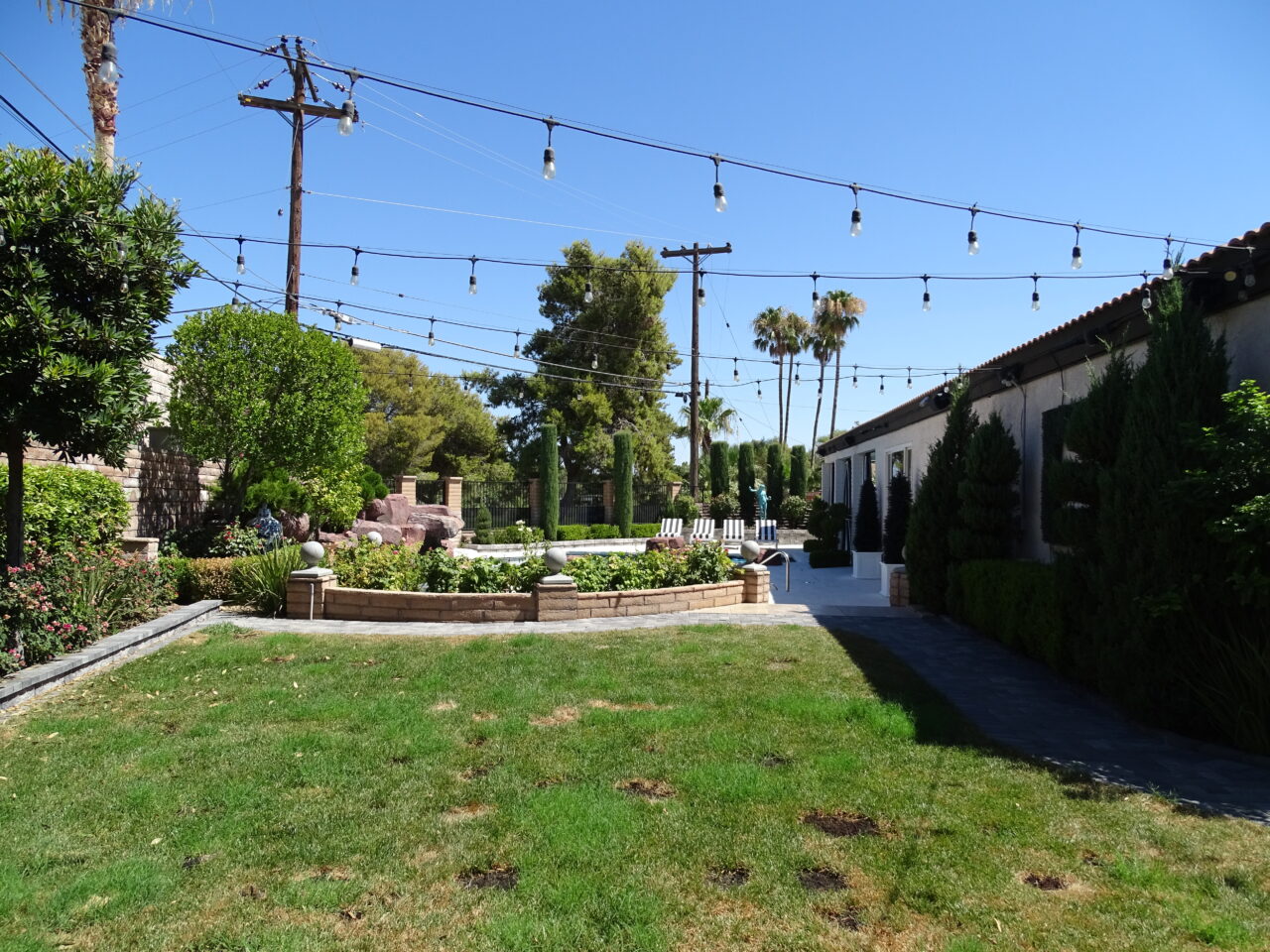 Lush garden, string lights, fountain, and pathway under blue sky.