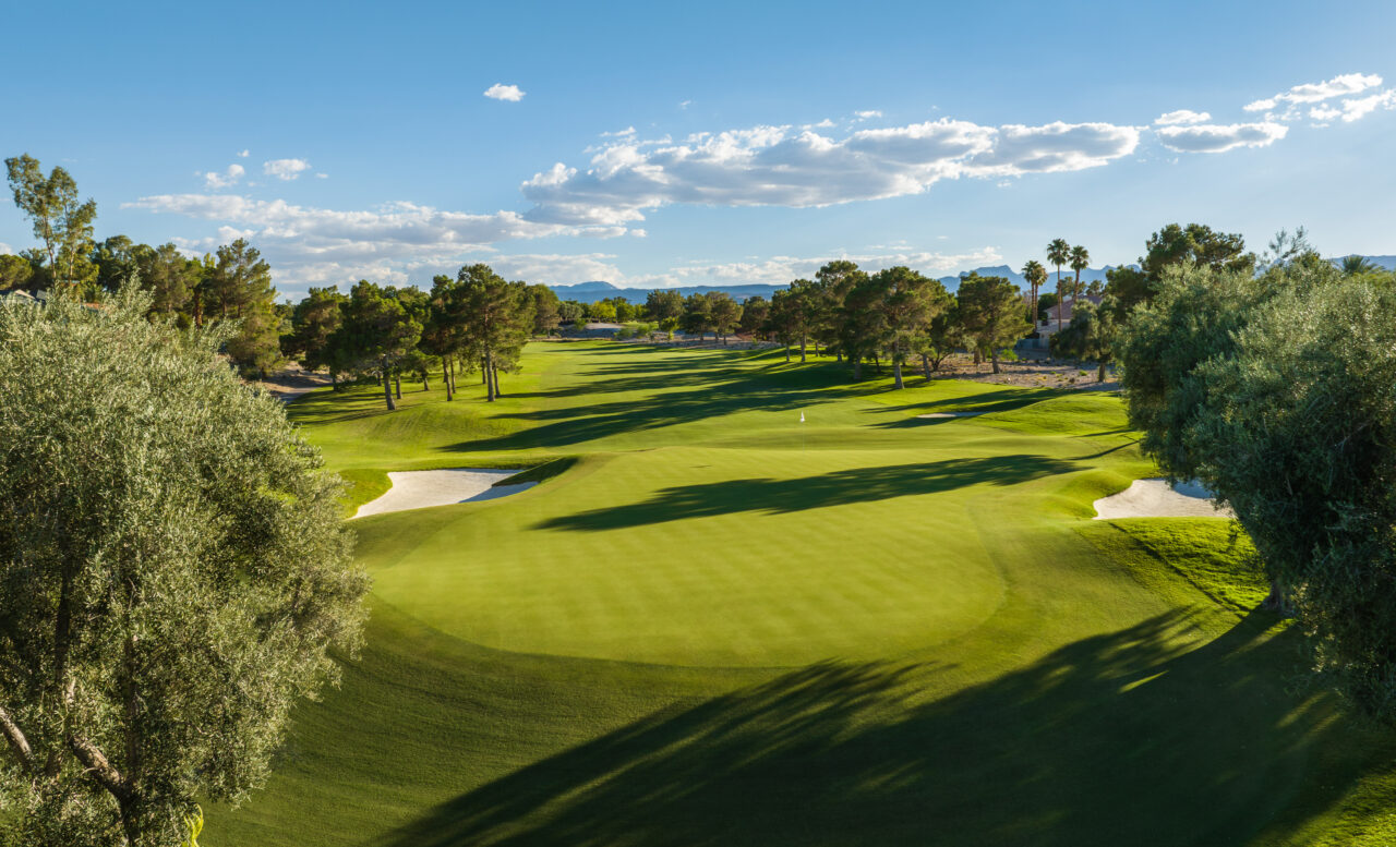 Sunny golf course with green fairways and scattered trees