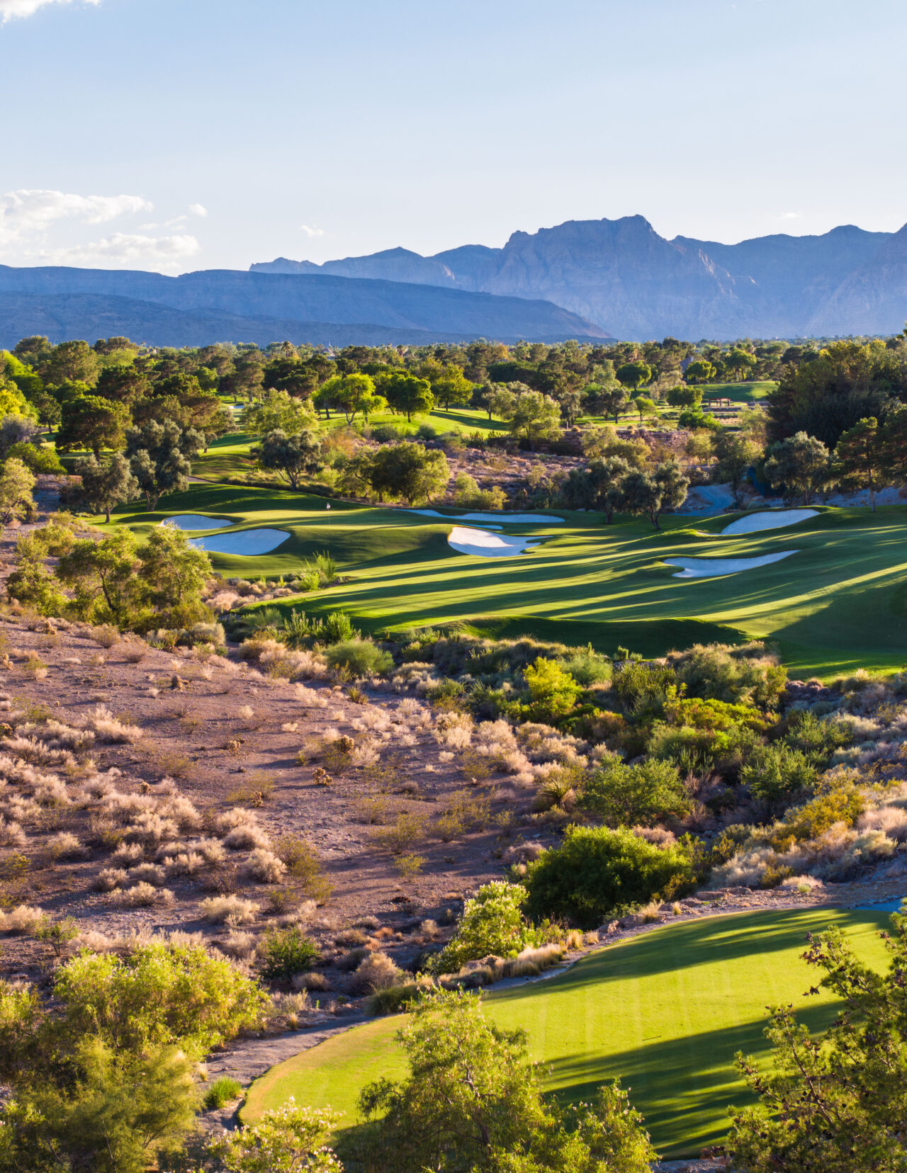 Scenic golf course with mountains and lush greenery