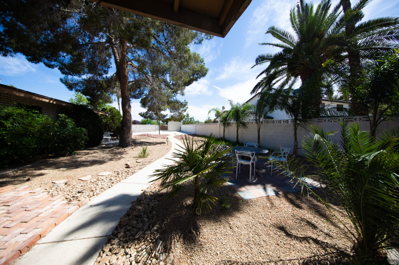 Sunny backyard with palms, pathway, and seating area